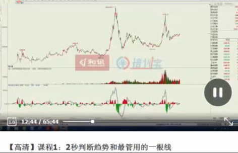 潘启祥期货课程1视频看最鲜网，看新知识-提供各类互联网项目，互联网副业，职场技能课程，股票期货投资, 校园课程，升学考试等有价值的知识看最鲜网，看新知识