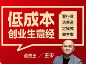 王岑:低成本创业生意经看最鲜网,看新知识-提供各类互联网项目,互联网副业,职场技能课程,股票期货投资, 校园课程,升学考试等有价值的知识看最鲜网,看新知识