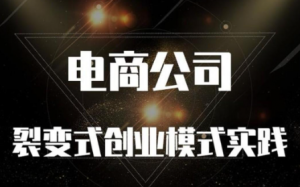 铜舟学堂《电商公司裂变式创业模式实践》看最鲜网，看新知识-提供各类互联网项目，互联网副业，职场技能课程，股票期货投资, 校园课程，升学考试等有价值的知识看最鲜网，看新知识