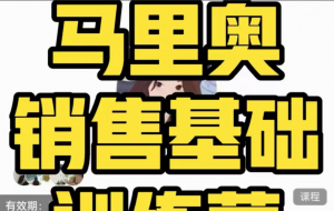 马里奥《销售基础训练营》看最鲜网,看新知识-提供各类互联网项目,互联网副业,职场技能课程,股票期货投资, 校园课程,升学考试等有价值的知识看最鲜网,看新知识