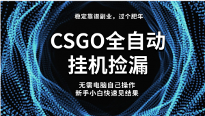 【稳定副业】全球热门游戏 CSGO 全自动捡漏，新玩法，新手小白日入 500+看最鲜网，看新知识-提供各类互联网项目，互联网副业，职场技能课程，股票期货投资, 校园课程，升学考试等有价值的知识看最鲜网，看新知识