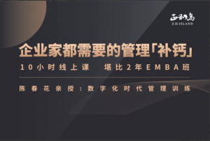 陈春花《数字化时代的管理训练》（30年管理智慧）20集视频看最鲜网，看新知识-提供各类互联网项目，互联网副业，职场技能课程，股票期货投资, 校园课程，升学考试等有价值的知识看最鲜网，看新知识