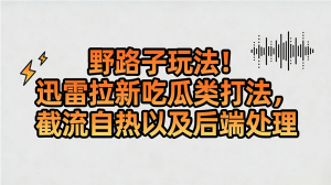 野路子玩法！迅雷拉新吃瓜类打法，截流自热以及后端处理看最鲜网，看新知识-提供各类互联网项目，互联网副业，职场技能课程，股票期货投资, 校园课程，升学考试等有价值的知识看最鲜网，看新知识