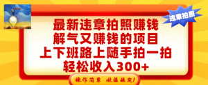 新违章拍照赚钱，解气又赚钱的项目，上下班路上随手拍一拍，轻松收入300+看最鲜网，看新知识-提供各类互联网项目，互联网副业，职场技能课程，股票期货投资, 校园课程，升学考试等有价值的知识看最鲜网，看新知识